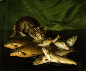 Een kat met forel, baars en karper op een richel